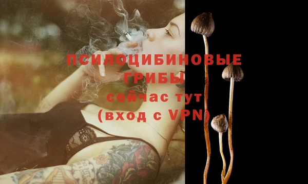 мяу мяу мука Кинешма