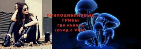 спиды Киреевск