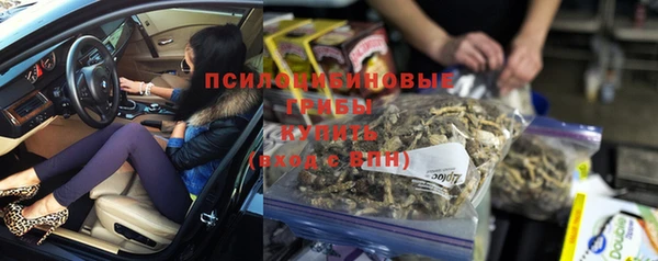 спиды Киреевск