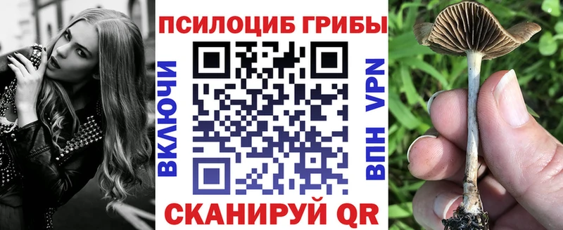 Купить  Отрадный  Галлюциногенные грибы MAGIC MUSHROOMS 